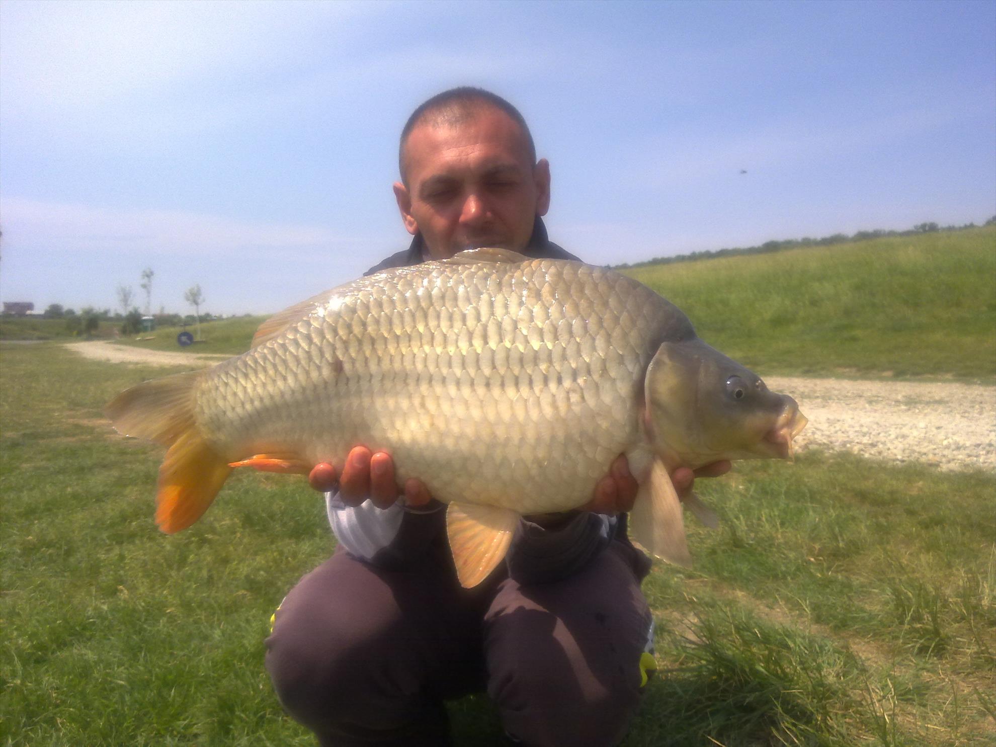 PESCUIT - 14052012747.jpg